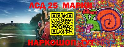 крисы Бийск