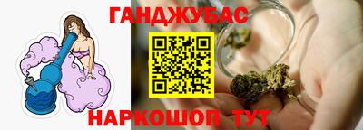 крисы Бийск