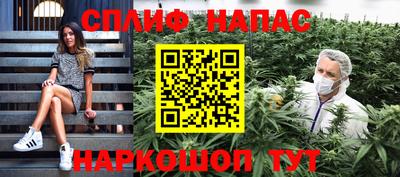 гидра Берёзовский