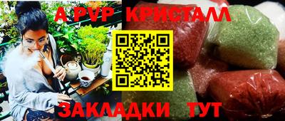 гидра Берёзовский
