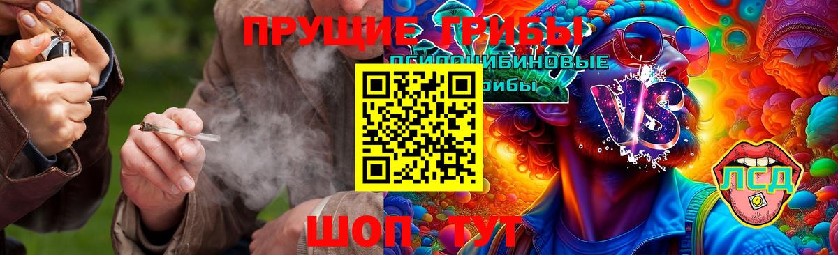 Зерноград  Галлюциногенные грибы Cubensis  где найти   Вход с VPN  Псилоцибиновые грибы GOLDEN TEACHER 
