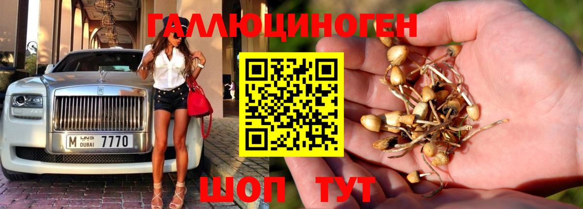 Галлюциногенные грибы Magic Shrooms Зерноград