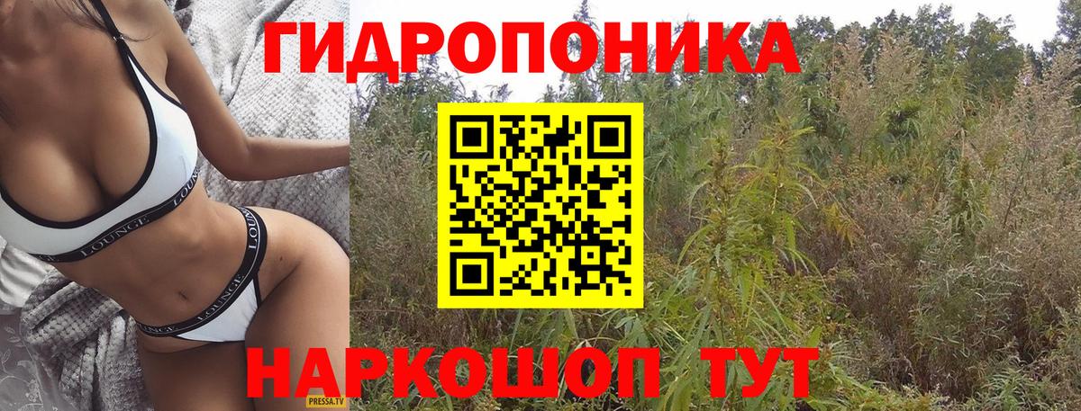 Бошки марихуана индика  Бошки Шишки индика  Зерноград  Вход с VPN  Канабис AK-47 